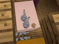 哲爷和成哥PE版老鼠的仓库5#8 满地弓箭