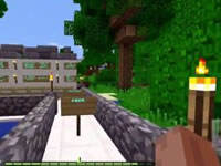 哲爷和成哥丛林坠机生存小镇1 收集物品