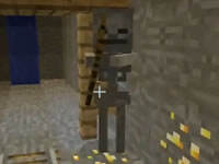 扁桃我的世界唱片空岛Ep4 蘑菇岛的秘密