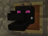 大海解说我的世界 凋零海岛监狱越狱