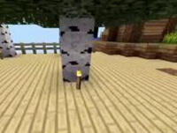 哲爷和成哥PE动物空岛3Ep6 羊羊岛