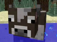 大海解说我的世界 行星大碰撞地球求生