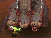 全面剖析地狱犬副本 手把手带你轻松过关