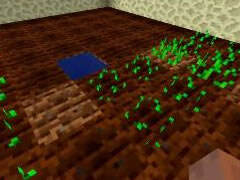 哲爷和成哥PE末地改造计划Ep2 农场