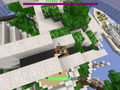 红叔我的世界多人生存 红小队躲猫猫