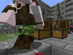 籽岷的1.8双人PVP游戏：饥饿游戏40