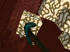 扁桃我的世界穿越时空Ep3 转换之门