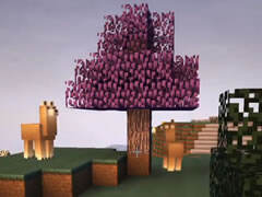 翔麟模拟殖民地1 从城镇大厅开始