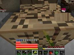 红叔我的世界红小队荒野求生Ep8