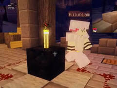 红叔我的世界红小队塞拉肯之旅Ep14下