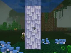 红小队我的世界交错次元之旅第一天下