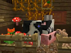 我的世界牧场物语Ep20 建造咖灰馆