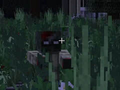 我的世界荒野求生7 找不到飞机失事地点