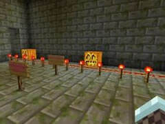 哲爷和成哥PE版小游戏地图 修改试卷3