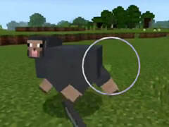 哲爷和成哥PE版1.1纯净生存1 村庄