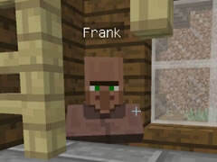 大海我的世界 解密追踪村民大盗