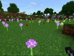 哲爷和成哥PE版1.1纯净生存10 花的海洋