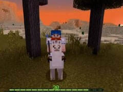 PE版1.1纯净生存15 羊驼和沙漠神庙