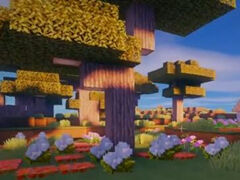 我的世界中华小五歌16 豆腐西施