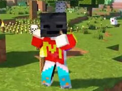 美男子宝可梦8 妙蛙花mega超级进化