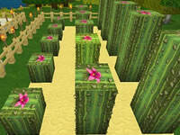 迷你世界仙人掌怎么获得 种植仙人掌方法