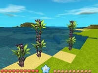 迷你世界甘蔗哪里找 甘蔗用途