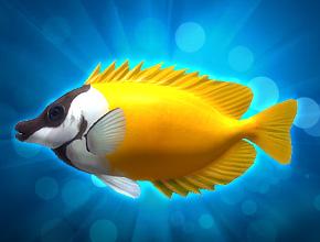 钓鱼王者第二关鱼鉴介绍 桂林山水通关攻略详解