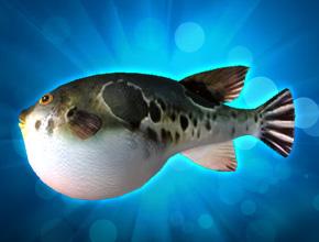 钓鱼王者第四关鱼鉴介绍 洞庭湖鱼情攻略解说