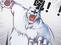 我叫MT4漫画欣赏 MT新世界历险记第二话