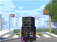 我的世界 僵尸猪人扛大炮PK僵尸团