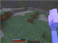 我的世界：找个女朋友