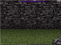 我的世界：怎么可能，凋零居然从基岩小屋里逃了出来