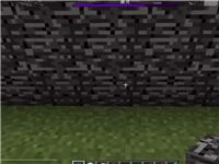 我的世界：怎么可能，凋零居然從基巖小屋里逃了出來