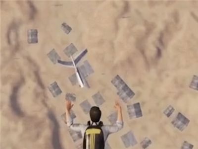 和平精英版沙漠骆驼视频