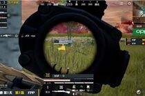 PEL决赛首周战况 XQF首日高居榜首 4AM后来居上