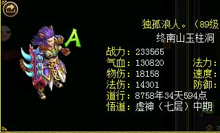 問道：89級100%反震體木來了!飛飛在此!