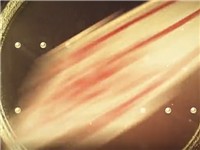 【狄仁杰封神榜】第37期 开挂还被虐！是怎样的悲伤十级体验