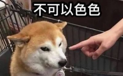 用上这个表情包，你在哪里都可以擦边