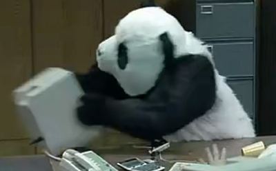 砸你电脑的“暴躁熊猫”，原来是卖奶酪的