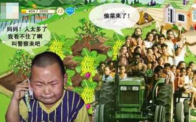 十几年前的偷菜游戏，是中国人的全民狂欢