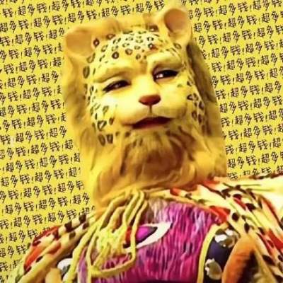 这里，有一夜“豹”富的密码