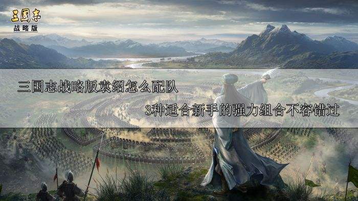 三国志战略版袁绍怎么配队 3种适合新手的强力阵容推荐