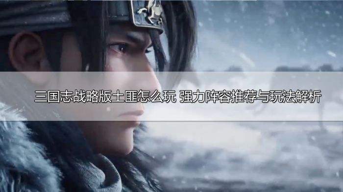 三国志战略版土匪怎么玩 土匪玩法攻略详解