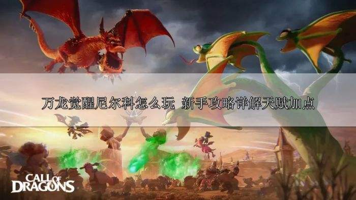 万龙觉醒尼尔科怎么玩 新手攻略详解天赋加点