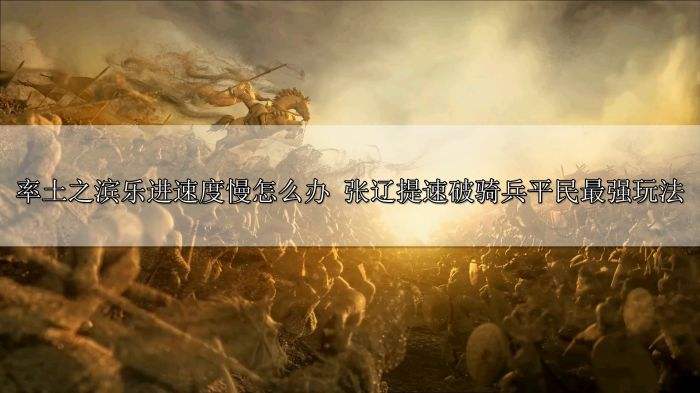 率土之滨乐进速度慢怎么办 张辽提速破骑兵平民最强玩法