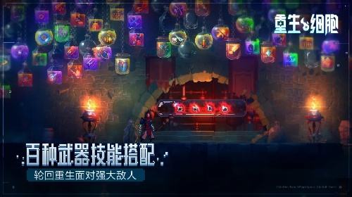 重生细胞电脑版最新版下载安装 重生细胞正式版下载入口2026