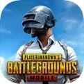 pubg国际服电脑版下载
