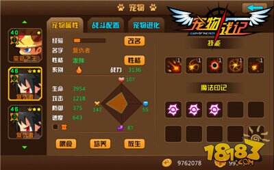 宠物战记宠物养成系统介绍