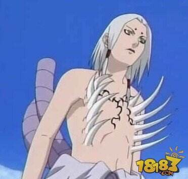 梦想忍者辉夜一族的命运