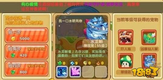 魔力宝贝宠物宝宝大揭秘(6)